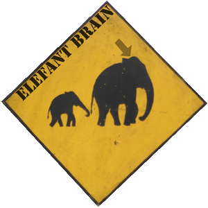 Elefant Brain Elefant Brain